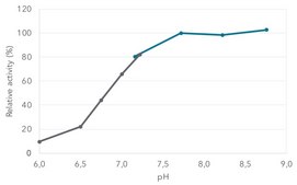 Salt Active Nuclease (SAN) recombinant, expressed in Pichia pastoris, Triton-free