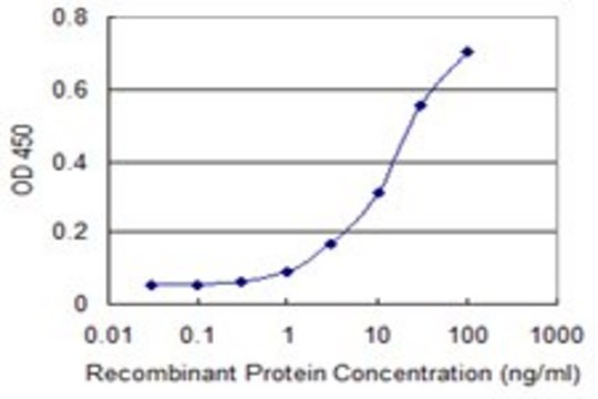 Monoclonal Anti-RBL2 antibody produced in mouse clone 4D7, purified immunoglobulin, buffered aqueous solution