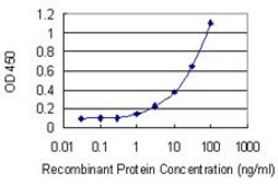 Monoclonal Anti-SPDEF antibody produced in mouse clone 4A5, purified immunoglobulin, buffered aqueous solution