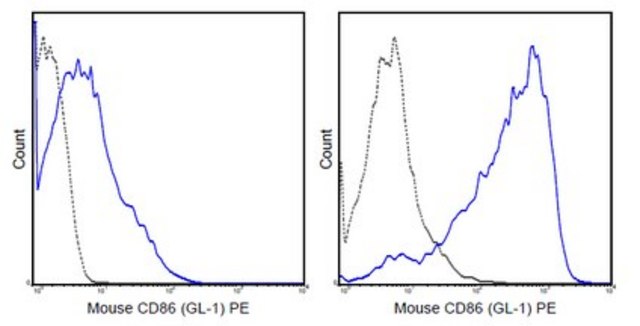 CD86（B7-2）抗体（小鼠），PE，克隆GL-1 clone GL-1 (GL1), 0.2&#160;mg/mL, from rat