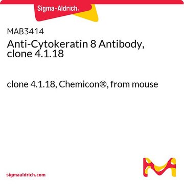 Anti-Cytokeratin 8 Antibody, clone 4.1.18 clone 4.1.18, Chemicon&#174;, from mouse