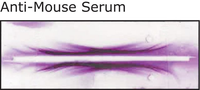 Anti-Mouse Serum antibody produced in rabbit whole antiserum