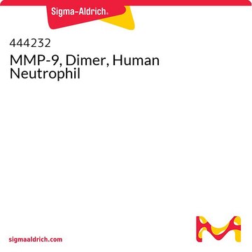 MMP-9, Dimer, Human Neutrophil