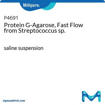 Protein&#160;G-Agarose, Fast Flow from Streptococcus sp. saline suspension