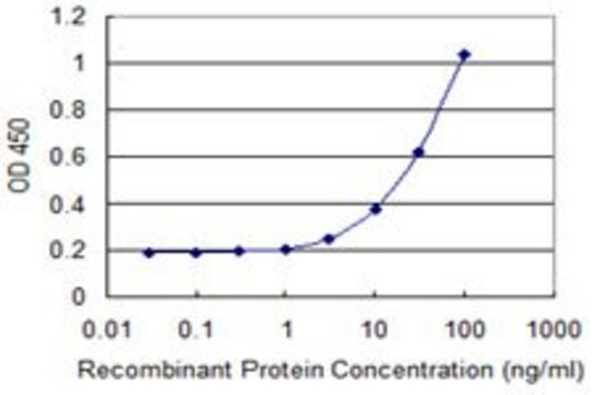 Monoclonal Anti-RPS9 antibody produced in mouse clone 2D3, purified immunoglobulin, buffered aqueous solution