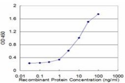Monoclonal Anti-IFNA6, (C-terminal) antibody produced in mouse clone 3C9, purified immunoglobulin, buffered aqueous solution