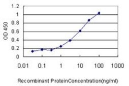 Monoclonal Anti-RPN1 antibody produced in mouse clone 2C10-2F6, purified immunoglobulin, buffered aqueous solution
