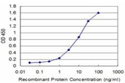 Monoclonal Anti-IRAK4 antibody produced in mouse clone 1C3, purified immunoglobulin, buffered aqueous solution