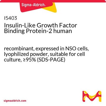 Insulin-Like Growth Factor Binding Protein-2 human recombinant, expressed in NSO cells, lyophilized powder, suitable for cell culture, &#8805;95% (SDS-PAGE)