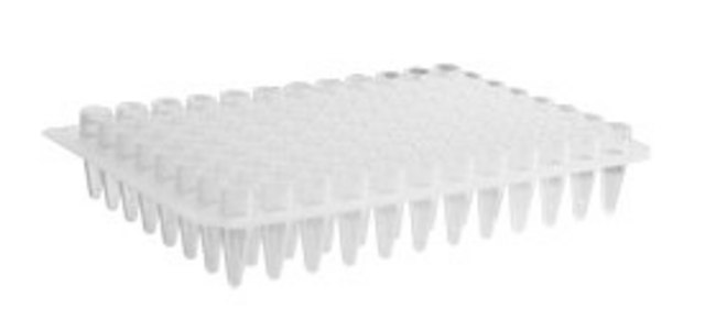 Corning&#174; Axygen&#174; PCR Microplate微板 size 96&#160;wells, conical bottom clear polypropylene wells, pkg of 5x10plates/cs