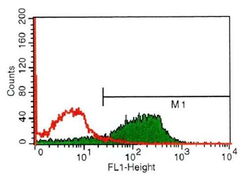 Anti-Endothelial Cell Protein C Receptor antibody, Rat monoclonal clone RCR-252, purified from hybridoma cell culture