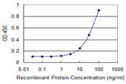 Monoclonal Anti-TBX21 antibody produced in mouse clone 1F4, purified immunoglobulin, buffered aqueous solution