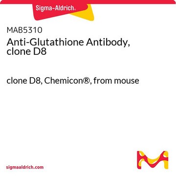 Anti-Glutathione Antibody, clone D8 clone D8, Chemicon&#174;, from mouse