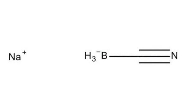 氰基硼氢化钠 for synthesis