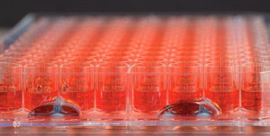 Nunc® Edge 2.0 96-well Plate Nunclon® Delta surface, polystyrene, sterile, without lid, clear, case of 50 ea