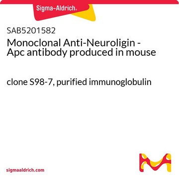 Monoclonal Anti-Neuroligin - Apc antibody produced in mouse clone S98-7, purified immunoglobulin