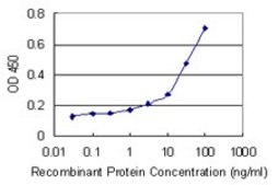 Monoclonal Anti-UBR1 antibody produced in mouse clone 4G7, purified immunoglobulin, buffered aqueous solution