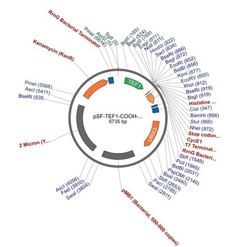 PSF-TEF1-COOH-HIS6 - C-TERMINAL 6 HIS TAG YEAST PLASMID plasmid vector for molecular cloning