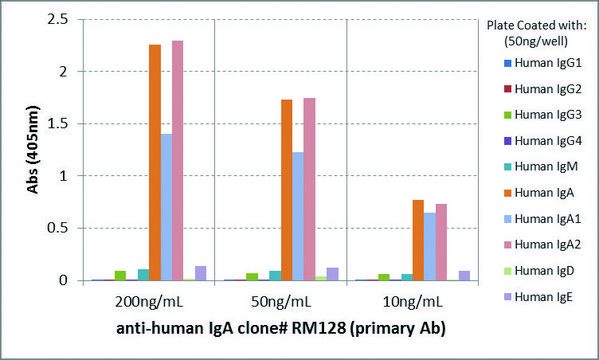 Anti-Human IgA-Biotin antibody, Rabbit monoclonal recombinant, expressed in HEK 293 cells, clone RM128, purified immunoglobulin