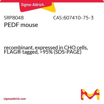 PEDF mouse recombinant, expressed in CHO cells, FLAG&#174; tagged, &gt;95% (SDS-PAGE)