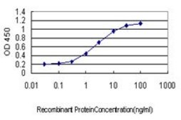 Monoclonal Anti-TNP1 antibody produced in mouse clone 1B5, purified immunoglobulin, buffered aqueous solution