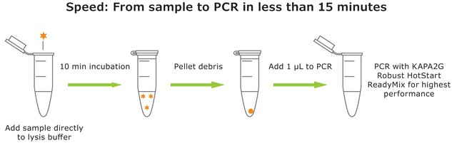 KAPA 快速浸提液 with PCR ReadyMix