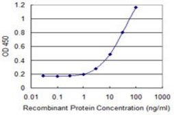 Monoclonal Anti-PCSK2 antibody produced in mouse clone 3H4, purified immunoglobulin, buffered aqueous solution