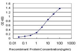 ANTI-ELF3 antibody produced in mouse clone 3B6, purified immunoglobulin, buffered aqueous solution