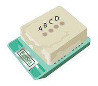 HER2 Analyte ControlDR Cell line controls for immunohistochemistry and in situ hybridization