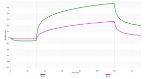 Anti-His tag Antibody, clone 1J13 ZooMAb® Rabbit Monoclonal recombinant, expressed in HEK 293 cells
