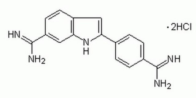 DAPI，二盐酸盐 Cell-permeable DNA-binding dye.