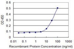 Monoclonal Anti-ELF5 antibody produced in mouse clone 3D10, purified immunoglobulin, buffered aqueous solution