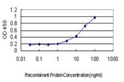 Monoclonal Anti-ASCL1 antibody produced in mouse clone 7E11, purified immunoglobulin, buffered aqueous solution