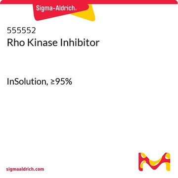 Rho Kinase Inhibitor InSolution, &#8805;95%