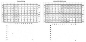 Anti-acetyl-Histone H3 (Lys27) Antibody, Trial Size serum, Upstate®