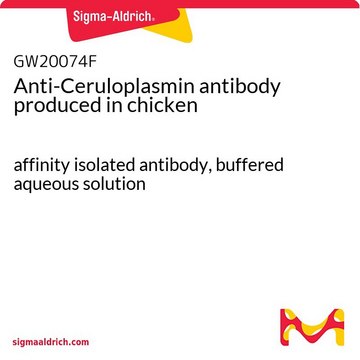 Anti-Ceruloplasmin antibody produced in chicken affinity isolated antibody, buffered aqueous solution