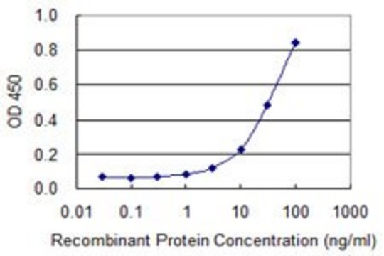 Monoclonal Anti-AMY2B antibody produced in mouse clone 2B12, purified immunoglobulin, buffered aqueous solution