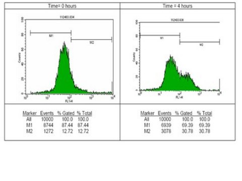 Anti-phospho-Histone H2A.X (Ser139) Antibody, clone JBW301, FITC conjugate clone JBW301, Upstate&#174;, from mouse