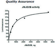 JMJD2B Active human recombinant, expressed in baculovirus infected insect cells, ≥40% (SDS-PAGE)