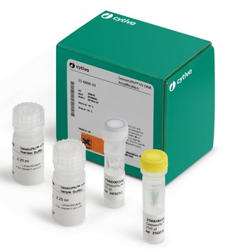 GenomiPhi&#8482; HY Kit Cytiva 25-6600-22, sufficient for 25&#160;reactions