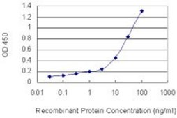 Monoclonal Anti-PNN antibody produced in mouse clone 2B4, purified immunoglobulin, buffered aqueous solution