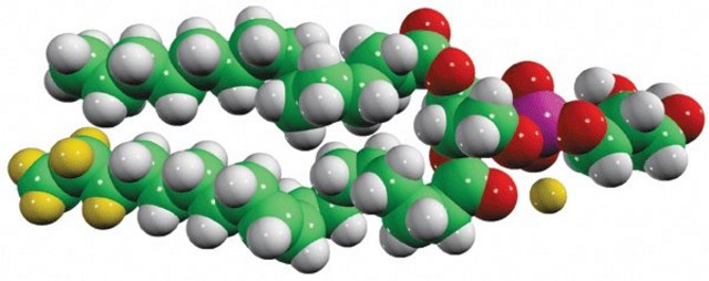 15:0-18:1-d7-PG Avanti Polar Lipids 791640C