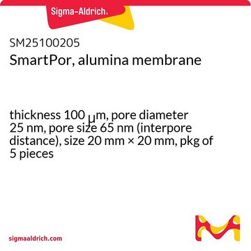 SmartPor, alumina membrane thickness 100&#160;&#956;m, pore diameter 25&#160;nm, pore size 65&#160;nm (interpore distance), size 20&#160;mm × 20&#160;mm, pkg of 5&#160;pieces