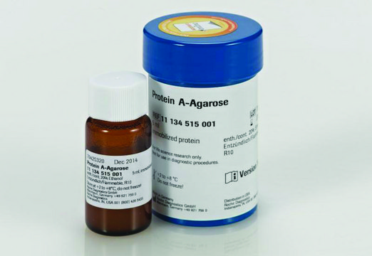 Protein A Agarose &gt;98% (HPLC and SDS-PAGE), suspension