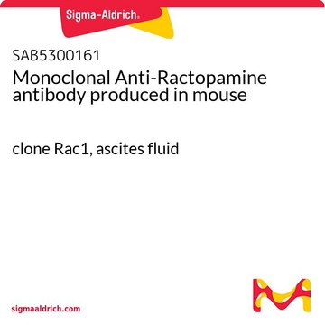 Monoclonal Anti-Ractopamine antibody produced in mouse clone Rac1, ascites fluid