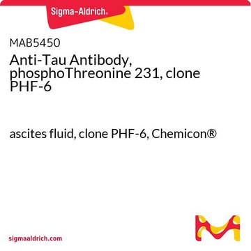 Anti-Tau Antibody, phosphoThreonine 231, clone PHF-6 ascites fluid, clone PHF-6, Chemicon®