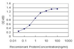 Monoclonal Anti-COP1 antibody produced in mouse clone 3E10, purified immunoglobulin, buffered aqueous solution