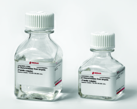 &#946;-Glucuronidase from limpets (Patella vulgata) aqueous solution