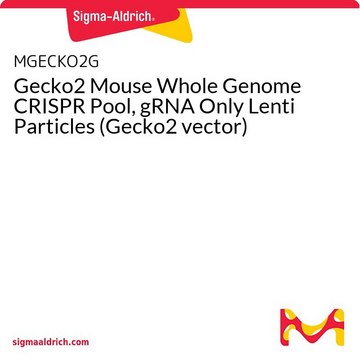 Gecko2 Mouse Whole Genome CRISPR Pool, gRNA Only Lenti Particles (Gecko2 vector)