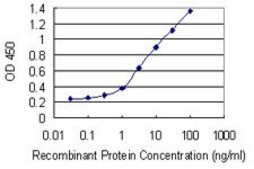 Monoclonal Anti-FLT3 antibody produced in mouse clone 3H1, purified immunoglobulin, buffered aqueous solution